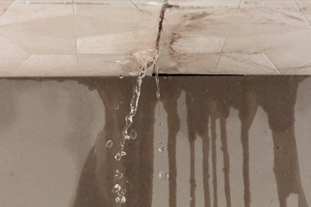 Professional Water Damage Repair technician working in Cuero, TX